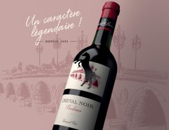 Rượu vang Pháp Cheval Noir Bordeaux Rouge
