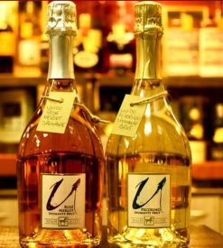 Rượu vang trắng Pecorino Brut Sparkling