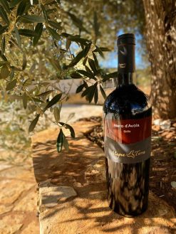 Rượu vang Ý Magna Terra Nero d'Avola