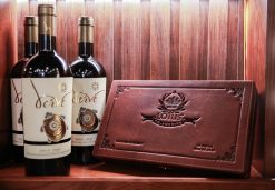 Rượu vang đỏ Ý Verve Merlot - Syrah