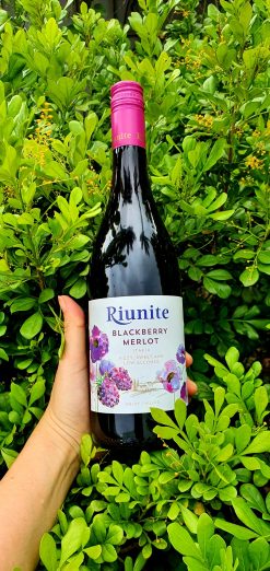 Rượu vang Ý Riunite Blackberry Merlot