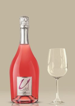 Rượu vang hồng Merlot Rose Sparkling