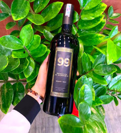 Rượu vang Ý 99 PRIMITIVO DEL SALENTO 15%