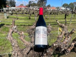 Rượu vang Úc Château De Glamis Shiraz Cabernet Sauvignon