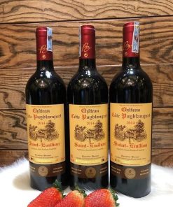 Rượu vang đỏ Pháp Chateau Côte Puyblanquet