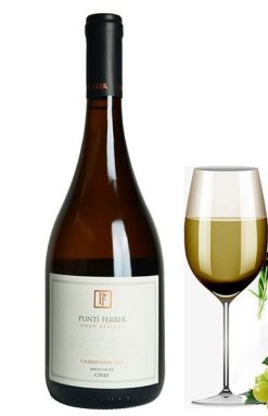 Rượu vang trắng Chile Punti Ferrer Gran Reserva Chardonnay