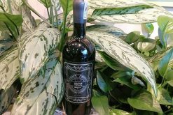Rượu vang Ý 1922 Primitivo 17 độ Giá tốt nhất