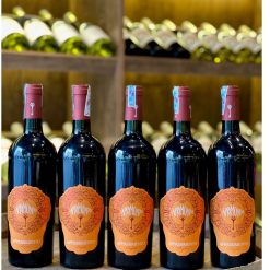 Rượu vang đỏ Ý Aprimondo Appassimento Rosso 16%