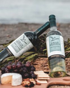 Rượu vang đỏ Chile Concha Y Toro Gran Reserva Cabernet Sauvignon