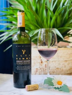 Rượu vang đỏ Chile Alta Gamma Cabernet Sauvignon