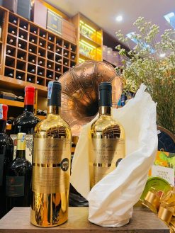 Rượu vang đỏ Ý Puglia Primitivo Sudvini 15%