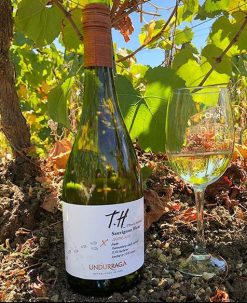 Rượu vang đỏ Chile Terroir Hunter Syrah TH