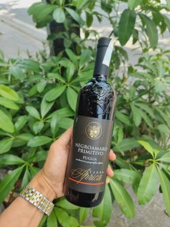 Rượu vang đỏ Ý Terra Aprica Negroamaro Primitivo
