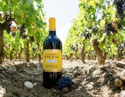 Rượu vang đỏ Pháp Château Dauzac Grand Cru Classé