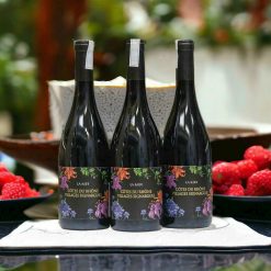 Rượu vang đỏ Pháp Côtes Du Rhône Villages Signargues