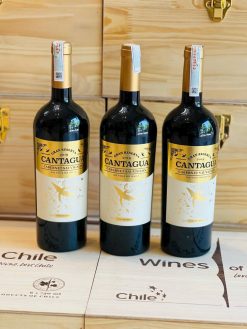 Rượu vang đỏ Chile Cantagua Gran Reserva Cabernet Sauvignon
