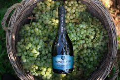 Rượu vang nổ Ý Montelvini Asolo Prosecco Superiore DOCG Extra Brut