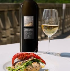 Rượu vang trắng Ý Calèa Trebbiano D'Abruzzo DOC