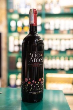 Rượu vang đỏ Ý Bric Amel Langhe Nebbiolo
