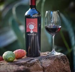 Rượu vang đỏ Ý Hugonis Tenuta Rapitalà Sicilia