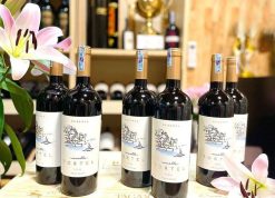 Rượu vang đỏ Chile Muelle Tortel Reserva Syrah Giá rẻ nhất