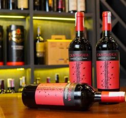 Rượu vang đỏ Chile Cantagua Cabernet Sauvignon Giá tốt nhất