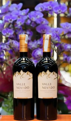 Rượu vang Valle Nevado Cabernet Sauvignon Giá tốt nhất