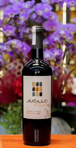 Rượu vang đỏ Chile Autunno Reserva Cabernet Sauvignon Giá tốt nhất