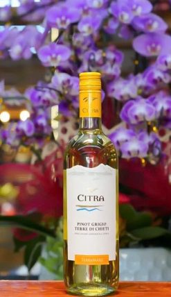 Rượu Vang Trắng Ý Citra Pinot Grigio Giá tốt nhất