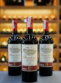 Rượu vang đỏ Pháp Bonechance Merlot Giá tốt nhất