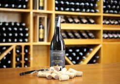 Rượu vang trắng Ý Nottetempo 100 Barrique Chardonnay Salento Giá tốt nhất