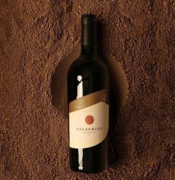 Rượu vang Salsedine Primitivo Puglia Giá tốt nhất