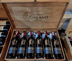 Trải Nghiệm Rượu Vang Chile – Hành Trình Khám Phá Vị Giác Tinh Tế