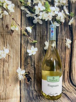 Rượu Vang Trắng Due Palme Bagnara Fiano Giá tốt nhất