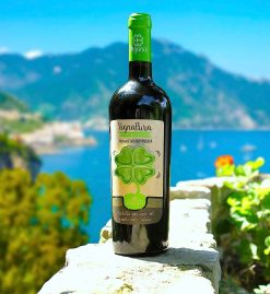 Rượu Vang Đỏ Vignapura Rosso IGP Puglia Giá tốt nhất