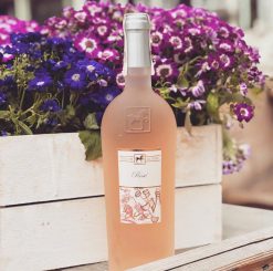 Vang hồng Tenuta Ulisse Rosé Giá tốt nhất