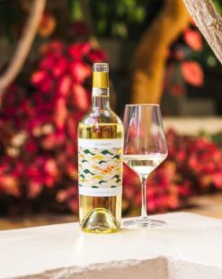 Vang trắng Velenosi Villa Angela Pecorino Giá tốt nhất